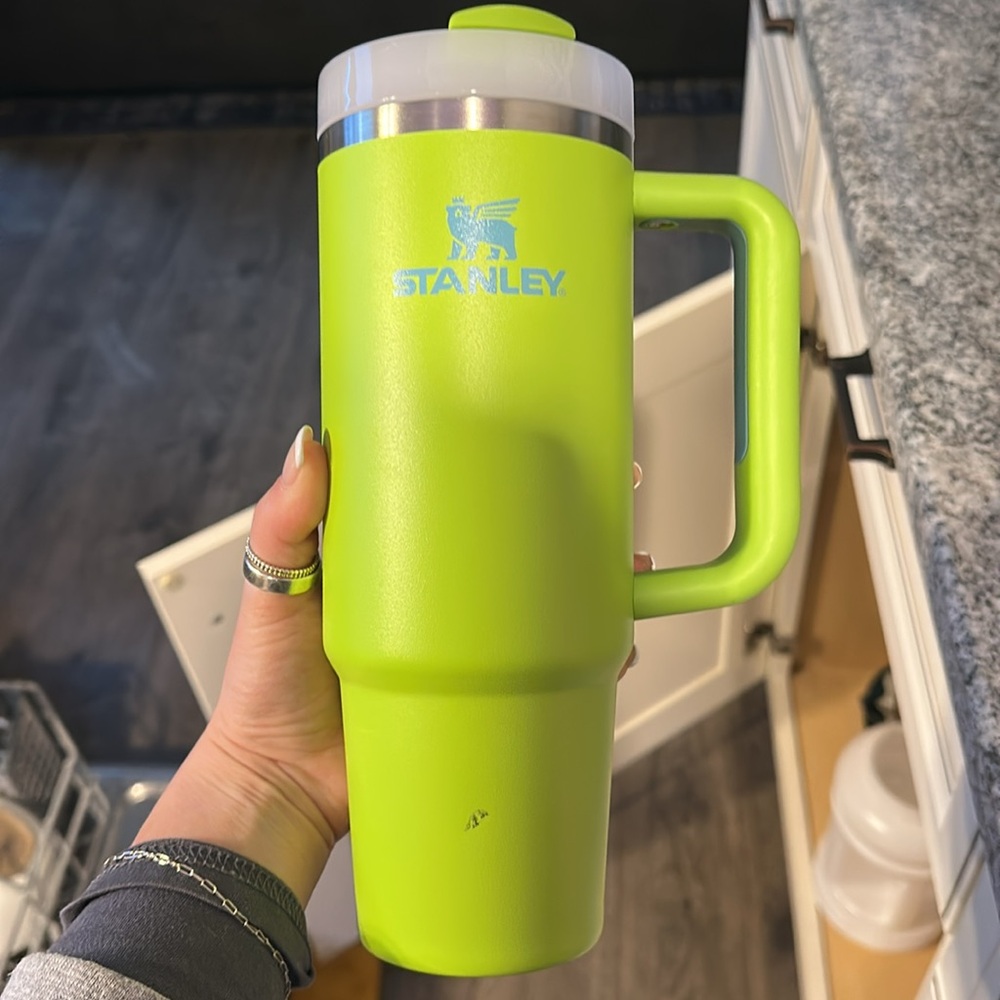 30 oz lime green Stanley